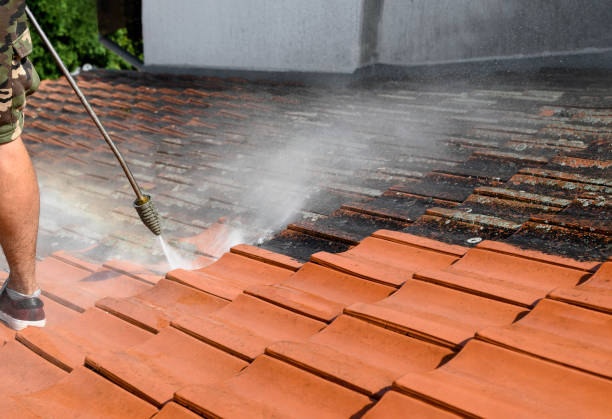 Best Residential Pressure Washing Services  in Dundee, OR