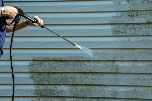 Local Pressure Washing Services in Dundee, OR