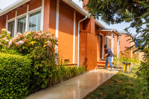 Best Local Pressure Washing Services  in Dundee, OR